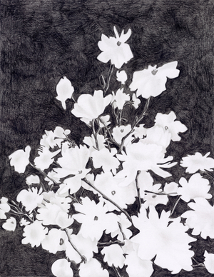 Bundled, 2021 (Colored pencil on cotton paper)