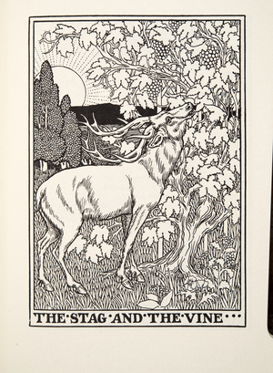 The Stag and the Vine, from Fontaine Fables, pub. 1905 (engraving)
