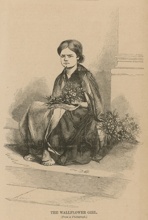 The wallflower girl (engraving)