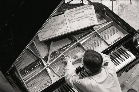 Piano - view from above of someone tuning a grand piano.