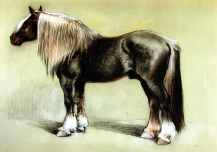 Carthorse, 1947 (pastel on paper)