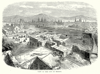 View of the City of Mexico (engraving)