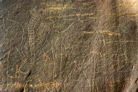 Rock engraving depicting an elephant - Tassili n'Ajjer, Tadart Rouge, Tassili n'Ajjer, Algeria, 2000 (photo)