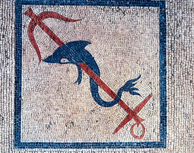 Dolphin with anchor