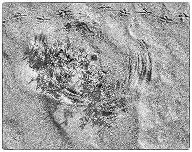 Sand abstract I, 2013 (photo)