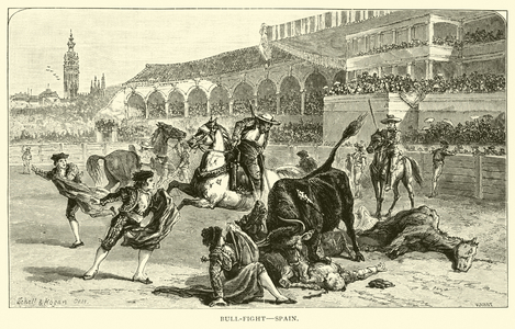 Bull-fight, Spain (engraving)