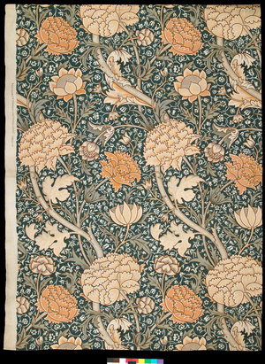 Cray, 1884 (cotton)