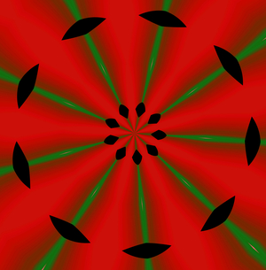 Flowers #2, 2019 (gradient)