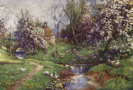 A Cotswold Orchard (colour litho)