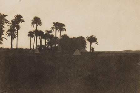 Camp a Accaba,May 16, 1852 (photo)