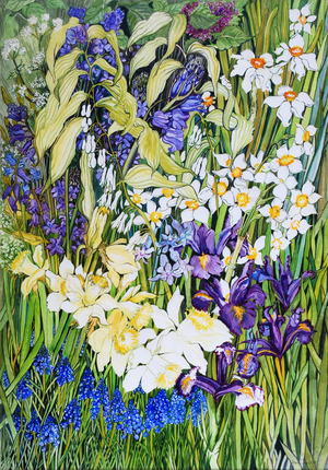 Spring Border, 2012 (watercolour on paper)