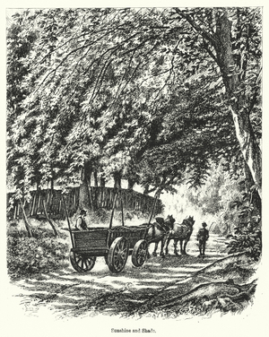 Sunshine and Shade (engraving)