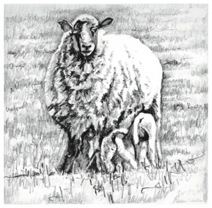 Feeding Time, 2012, (pencil drawing)
