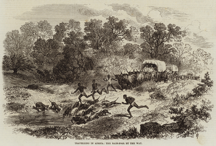 Travelling in Africa, the Rain-Pool by the Way (engraving)