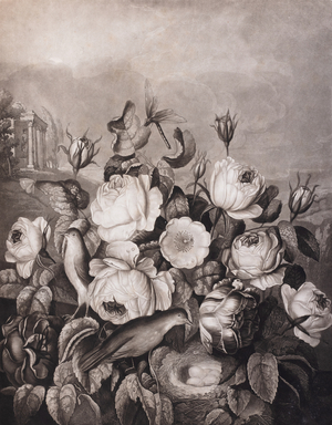 Roses, 1799-1807 (Plate)