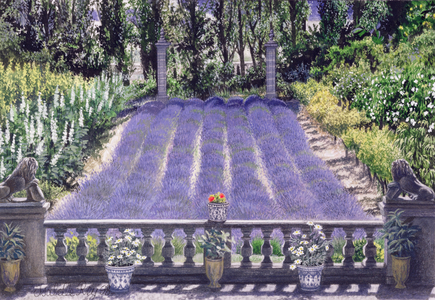Lavender Rows in Garden Scene, 1998 (w/c)