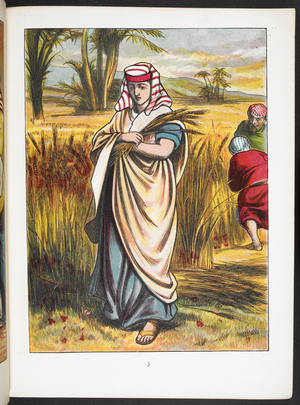 Ruth collecting the crop.
