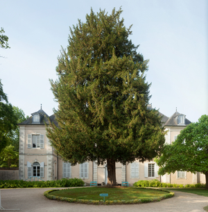 House of George Sand.