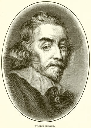 William Harvey (engraving)