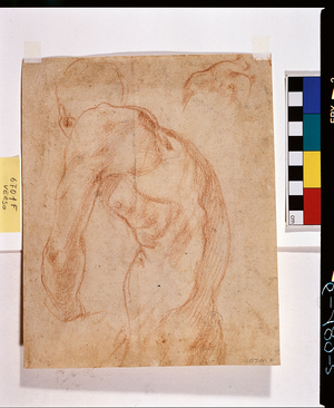 Nude study, verso (drawing)