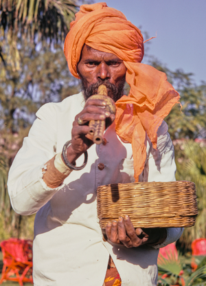 Snake Charmer, Delhi, India, 1972 (photo)