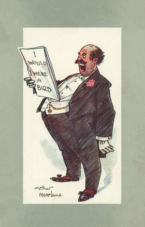 I would I were a bird (colour litho)