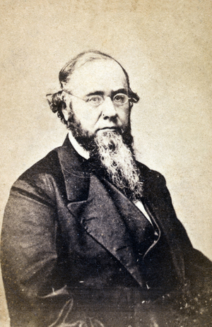 Edwin M Stanton - American politician and lawyer