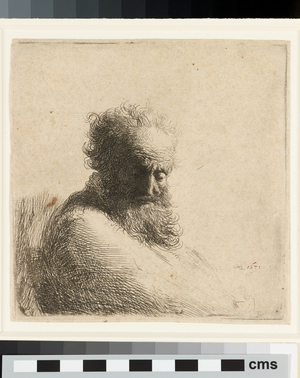 Bust of an old bearded Man, looking down, three quarters right, 1631 (etching)