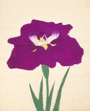 Hizume-no.-Hyoshi, no.29, 1898 (colour litho)