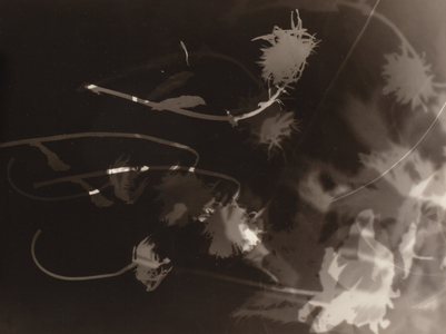 Untitled (gelatin silver print) 