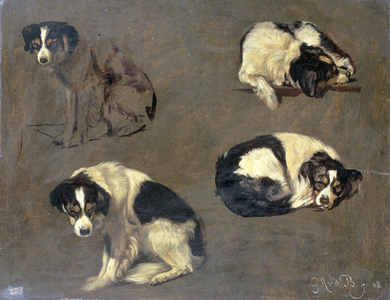 Four Studies of a Dog, 1868 (oil on paper on panel)