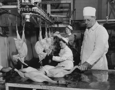 Three workers working in a turkey processing plant, Frozen Food Plant, Hillsboro, Oregon, USA