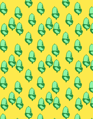 Acorn, 2017 (photoshop)