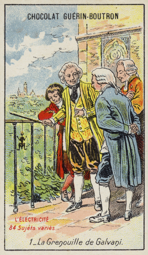 Galvani's frog (chromolitho)