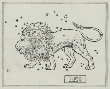 Signs of the zodiac: Leo (engraving)