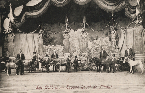The Colibris, the Royal Troupe of Lilliput (b/w photo)