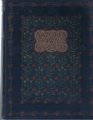 Front Cover design, J. M. Dent & Sons Ltd, pub.1907 (colour litho)