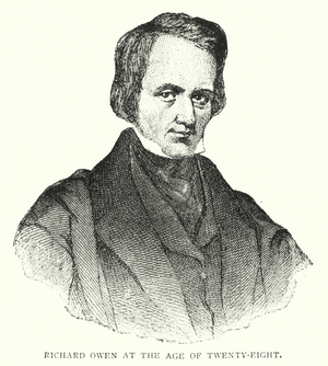 Richard Owen at the Age of Twenty-Eight (engraving)