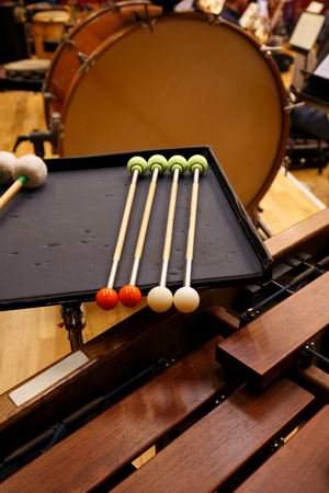 Multi purpose sticks, double ended with hard plastic on one end and wool or yarn on the other