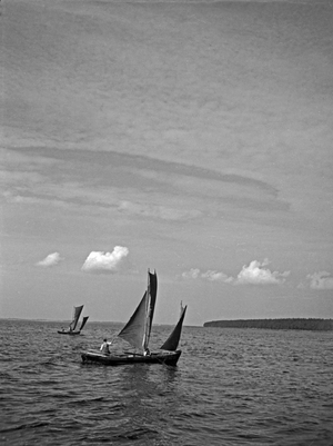 Sailing boats on Fischhausen bay, East Prussia, 1930s (b/w photo)
