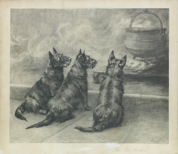 The Pot Boilers (photogravure)