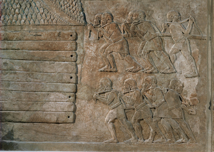 Men carrying cedar …