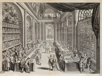 Levinus Vincent Collection from 'Theatre des merveilles de la nature', 1719 (Plate)