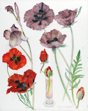Poppies (w/c on paper)