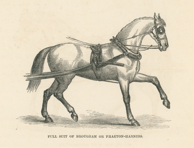 Full Suit of Brougham or Phaeton-Harness (engraving)