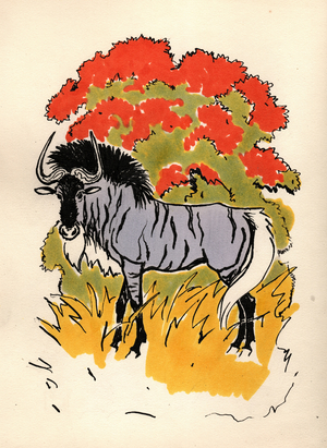 Wildebeest, 1978 (gouache on paper)