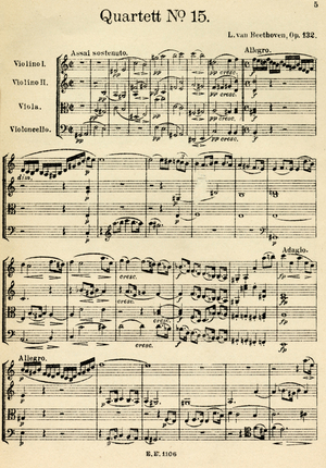 Ludwig van Beethoven -