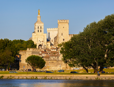 Palace of the Popes seen across the Rhone river, Avignon, Provence-Alpes-Cote d'Azur, France (photo)