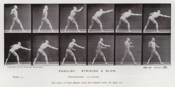 The Human Figure in Motion: Pugilist, striking a blow (b/w photo)