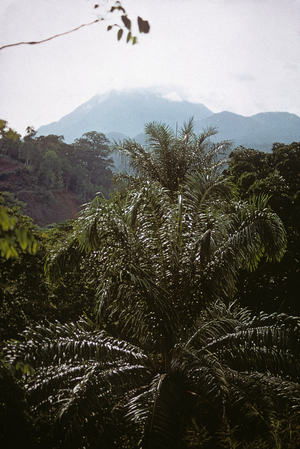Mount Cameroon, Africa, 1971 (photo)